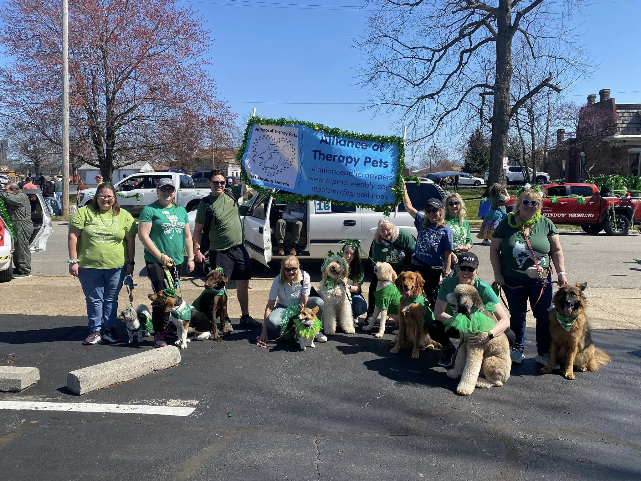Therapy pets showing their stuff at the 2026 St Paddy's Day Parade