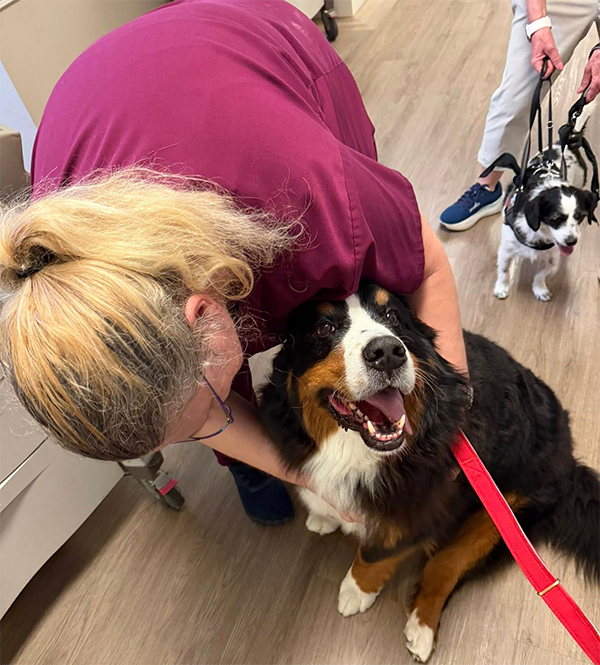 Therapy dog visit bringing comfort to a community member
